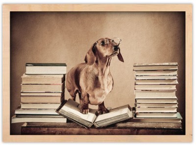 Σκύλος καθηγητής Ζώα Πίνακες σε καμβά 39 x 60 cm (10325)