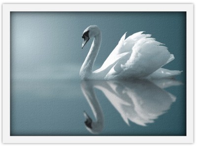 Κύκνος, Ζώα, Πίνακες σε καμβά, 20 x 15 εκ.