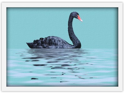 Μαύρος κύκνος, Ζώα, Πίνακες σε καμβά, 20 x 15 εκ.