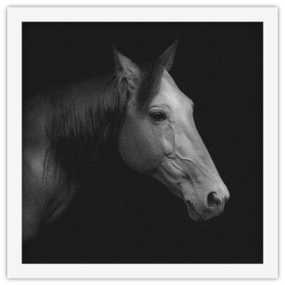 Άλογο trotter, Ζώα, Πίνακες σε καμβά, 40 x 40 εκ.