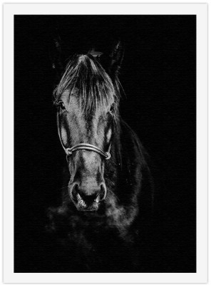 Μαύρο άλογο στο σκοτάδι Ζώα Πίνακες σε καμβά 20 x 30 εκ. (44785)