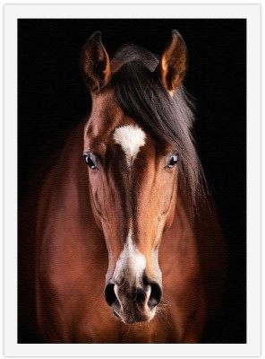 Καφέ όμορφο άλογο Ζώα Πίνακες σε καμβά 20 x 30 εκ. (44787)