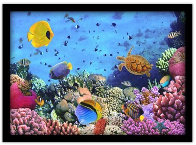 Αποικία κοραλλιών, Ερυθρά Θάλασσα, Αίγυπτος Ζώα Πίνακες σε καμβά 40 x 60 cm (10106)