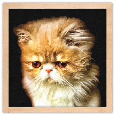 Πορτρέτο γάτας, Ζωγραφική, Πίνακες σε καμβά, 40 x 40 εκ
