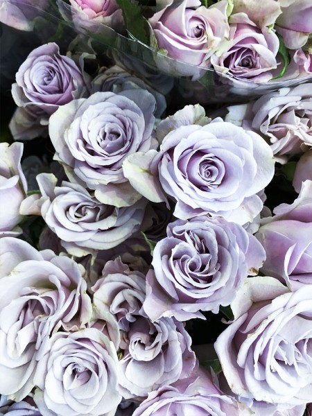 Μπουκέτο με μοβ τριαντάφυλλα