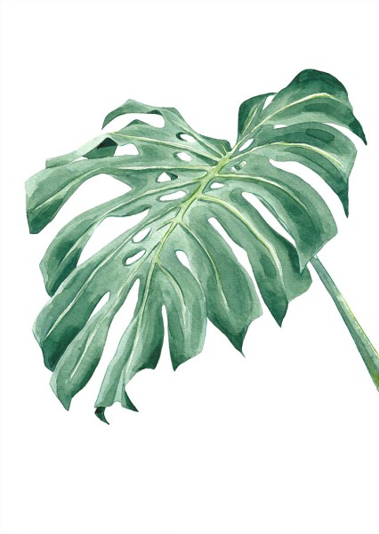 Tropical leave