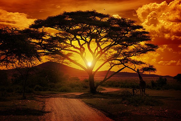 Ηλιοβασίλεμα στην Αφρική