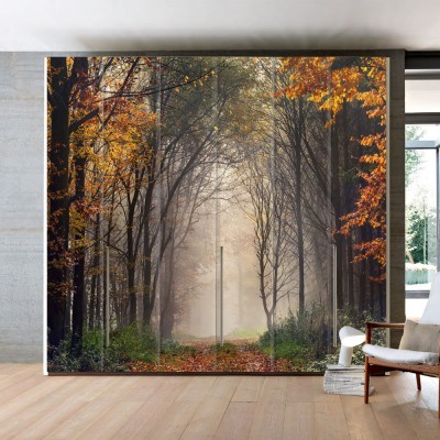 Mysterious Forest, Φύση, Αυτοκόλλητα ντουλάπας, 100 x 63 εκ. (55751)