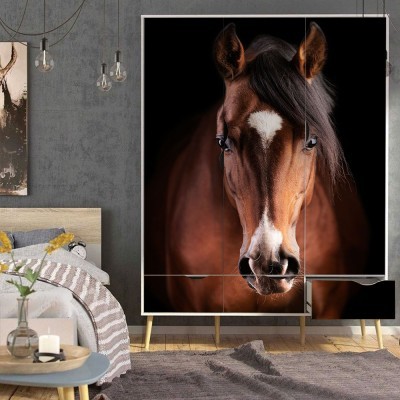 Καφέ Άλογο, Διάφορα, Αυτοκόλλητα ντουλάπας, 100 x 152 εκ. (55668)