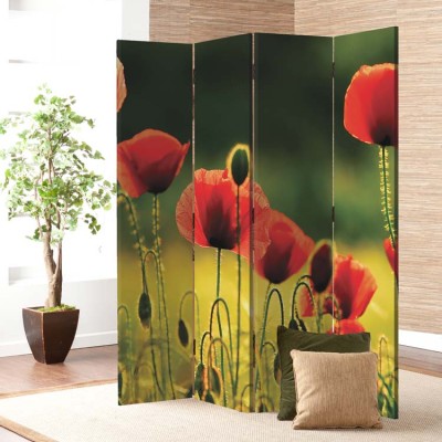 Τοπίο με Παπαρούνες, Φύση, Παραβάν, 80 x 180 εκ. [Δίφυλλο]