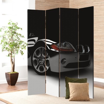 Ένα μαύρο αυτοκίνητο, Σπορ, Παραβάν, 80 x 180 εκ. [Δίφυλλο]