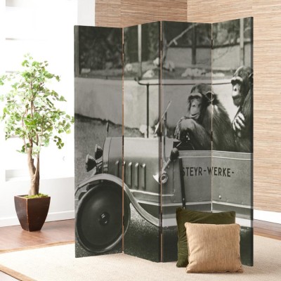 Houseart Δύο χιμπατζήδες σε μικρό αυτοκίνητο, Ζώα, Παραβάν, 160 x 180 εκ. [Τετράφυλλο]