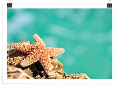 Αστερίας, Ελλάδα, Πόστερ, 20 x 15 εκ.