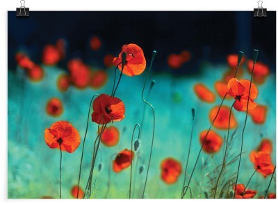 Κόκκινες παπαρούνες, Φύση, Πόστερ, 20 x 15 εκ.