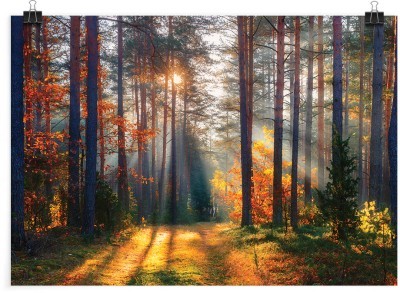 Φθινοπωρινό δάσος, Φύση, Πόστερ, 20 x 15 εκ.