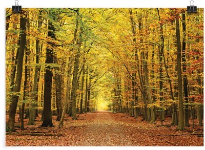 Μαγικό φθινοπωρινό τοπίο, Φύση, Πόστερ, 20 x 15 εκ.