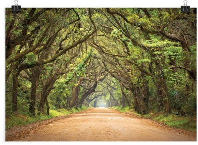 Μονοπάτι στο δάσος, Φύση, Πόστερ, 20 x 15 εκ.