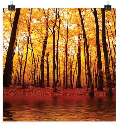 Έντονα χρώματα του δάσους, Φύση, Πόστερ, 20 x 20 εκ.