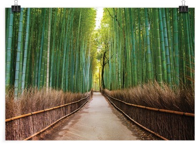 Δρομάκι στο τροπικό δάσος, Φύση, Πόστερ, 20 x 15 εκ.