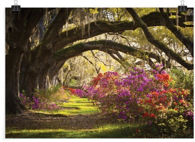 Λουλούδια στο δάσος, Φύση, Πόστερ, 20 x 15 εκ.