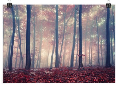 Ξεραμένα φύλλα στο δάσος, Φύση, Πόστερ, 20 x 15 εκ.