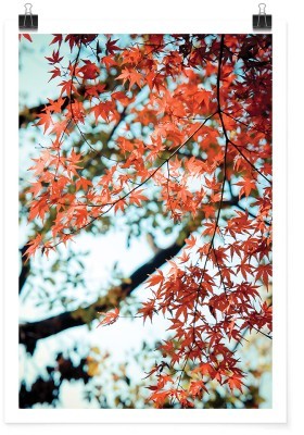 Ξεραμένα φύλλα, Φύση, Πόστερ, 15 x 20 εκ.