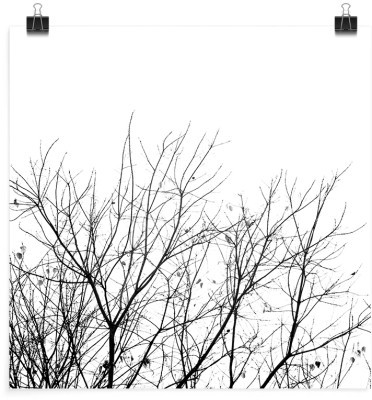 Κλαδιά δέντρων, Φύση, Πόστερ, 20 x 20 εκ.