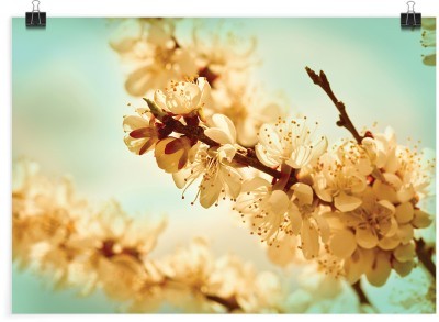 Αμυγδαλιά, Φύση, Πόστερ, 20 x 15 εκ.