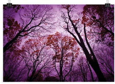 Μοβ ουρανός, Φύση, Πόστερ, 20 x 15 εκ.