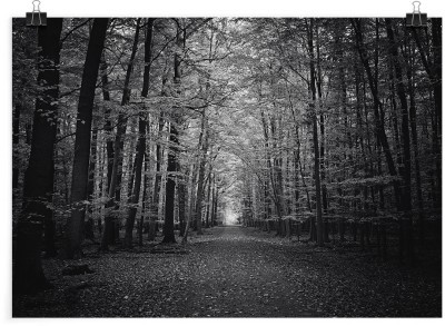 Σκοτεινό μονοπάτι, Φύση, Πόστερ, 20 x 15 εκ.