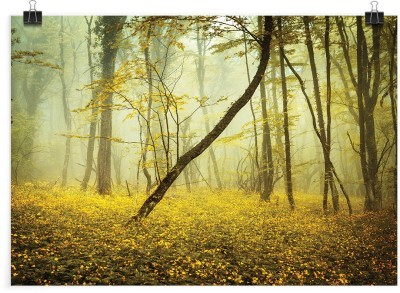 Κορμοί δέντρων, Φύση, Πόστερ, 20 x 15 εκ.