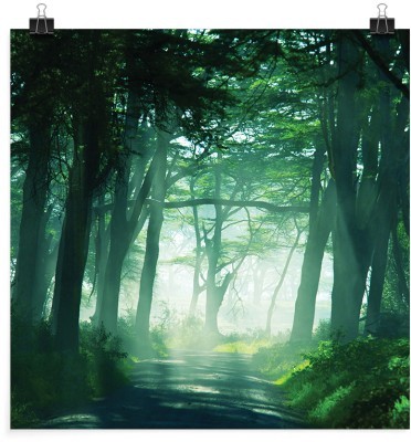 Πράσινο δάσος, Φύση, Πόστερ, 20 x 20 εκ.