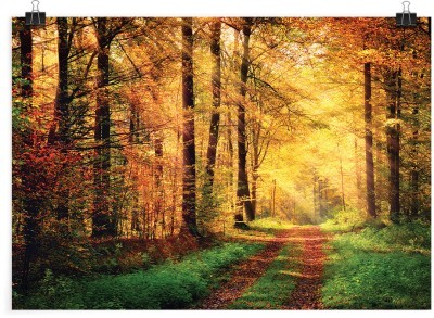 Δρομάκι στο πυκνό δάσος, Φύση, Πόστερ, 20 x 15 εκ.