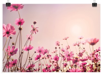 Ροζ λουλουδάκια, Φύση, Πόστερ, 20 x 15 εκ.