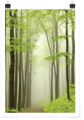 Houseart Κορμοί δέντρων με πράσινα φύλλα, Φύση, Πόστερ, 15 x 20 εκ.