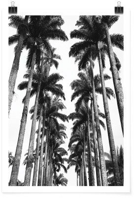 Houseart Ψηλοί φοίνικες, Φύση, Πόστερ, 15 x 20 εκ.