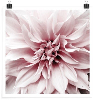 Houseart Άνθος λουλουδιού, Φύση, Πόστερ, 20 x 20 εκ.