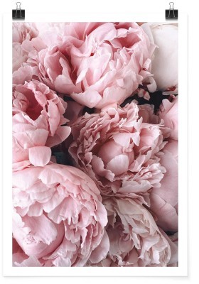 Houseart Ροζ παιώνιες, Φύση, Πόστερ, 15 x 20 εκ.