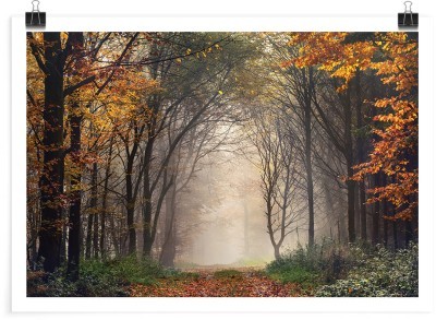 Τρομακτικό μονοπάτι στο δάσος, Φύση, Πόστερ, 20 x 15 εκ.