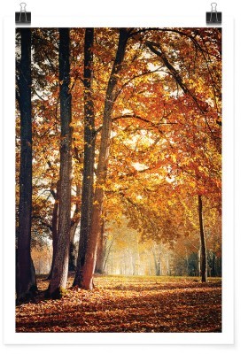 Πορτοκαλί δάσος, Φύση, Πόστερ, 15 x 20 εκ.