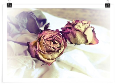 Dead roses, Φύση, Πόστερ, 20 x 15 εκ.