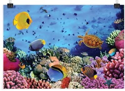 Βυθός, Φύση, Πόστερ, 20 x 15 εκ.