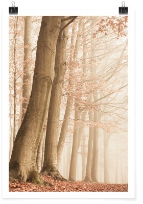 Κορμοί δέντρων, Vintage, Πόστερ, 15 x 20 εκ.