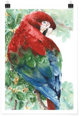 Πολύχρωμος παπαγάλος, Ζωγραφική, Πόστερ, 15 x 20 εκ.