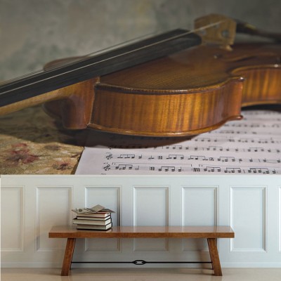 Παλιό βιολί Διάφορα Ταπετσαρίες Τοίχου 80 x 120 cm (21889)