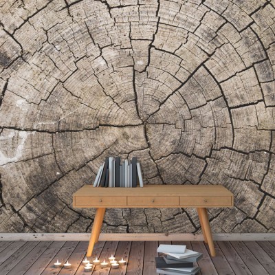 Φόντο ξύλου Φόντο – Τοίχοι Ταπετσαρίες Τοίχου 100 x 100 cm (21574)