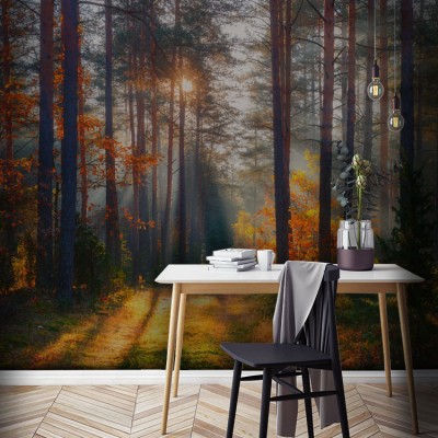 Houseart Ηλιοβασίλεμα στο Δάσος, Φύση, Ταπετσαρίες Τοίχου, 150 x 100 εκ.