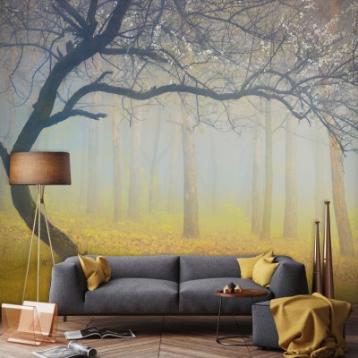 Δέντρο μες στην ομίχλη Φύση Ταπετσαρίες Τοίχου 68 x 140 cm (20806)