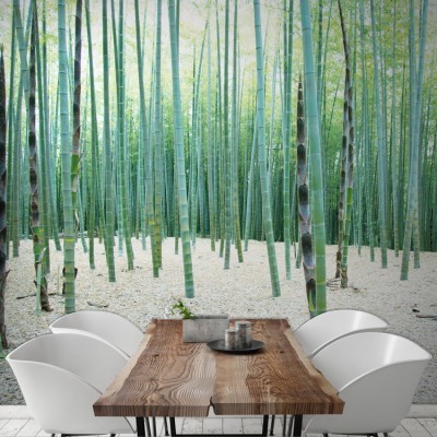 Δάσος μπαμπού, Φύση, Ταπετσαρίες Τοίχου, 100 x 100 εκ.