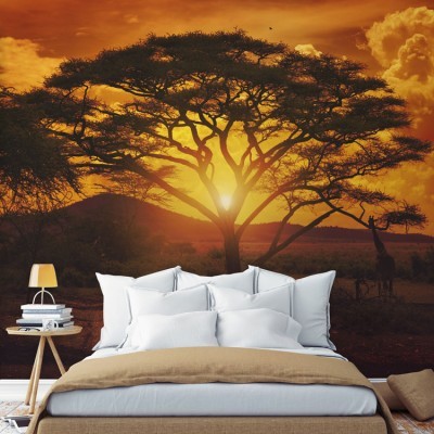 Ηλιοβασίλεμα στην Αφρική Φύση Ταπετσαρίες Τοίχου 83 x 125 cm (20828)